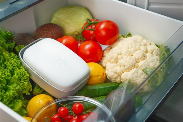 VITESY - Dispositivo smart per frigorifero SHELFY