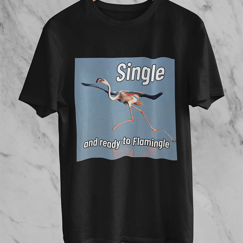 Single And Ready To Flamingle T-shirt