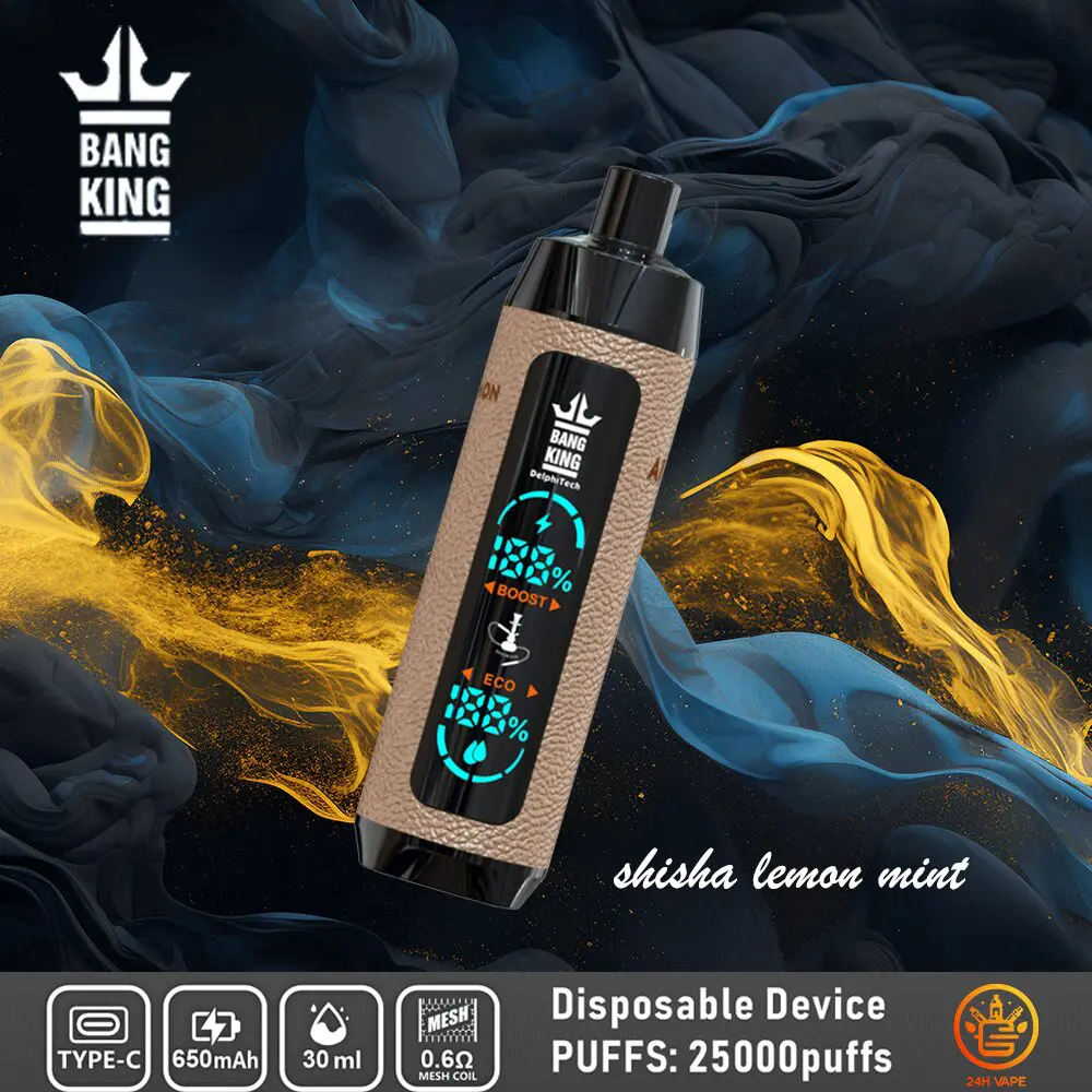 （3 pieces）Bang King Shisha 25000 25K Puffs Newest LED Display Leather Disposable Vape Pen