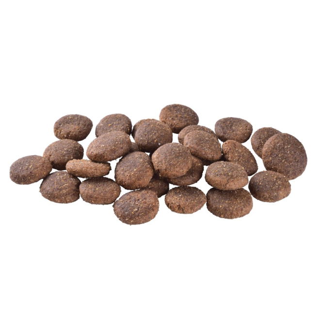 Brit Care Dog Adult Large Breed Grain Free Salmon