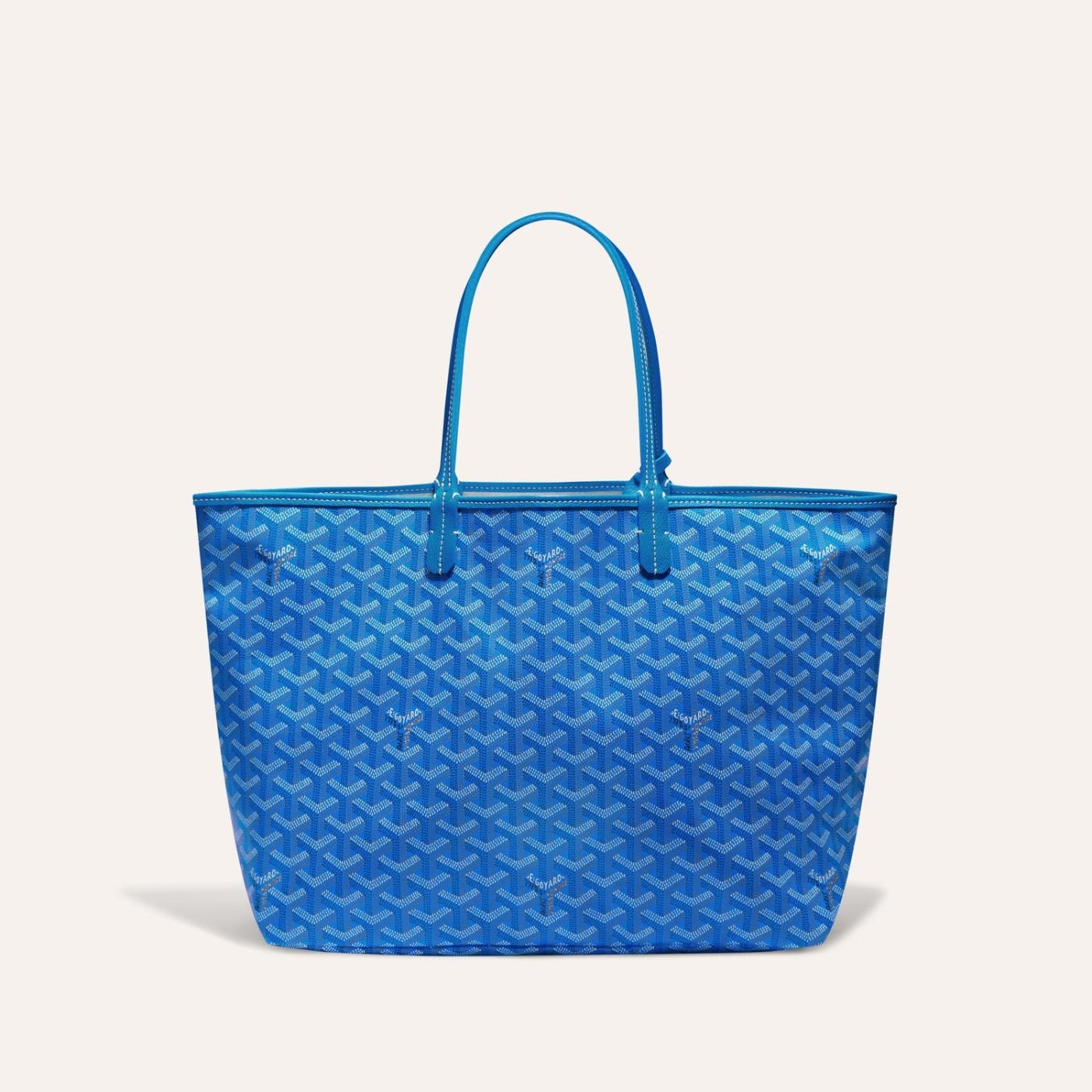 Saint Louis PM Tote Bag Sky Blue