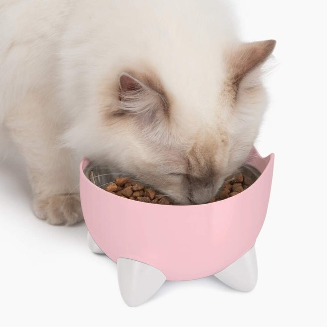 Catit Pixi Combo sett drikkefontene & hevet matskål rosa