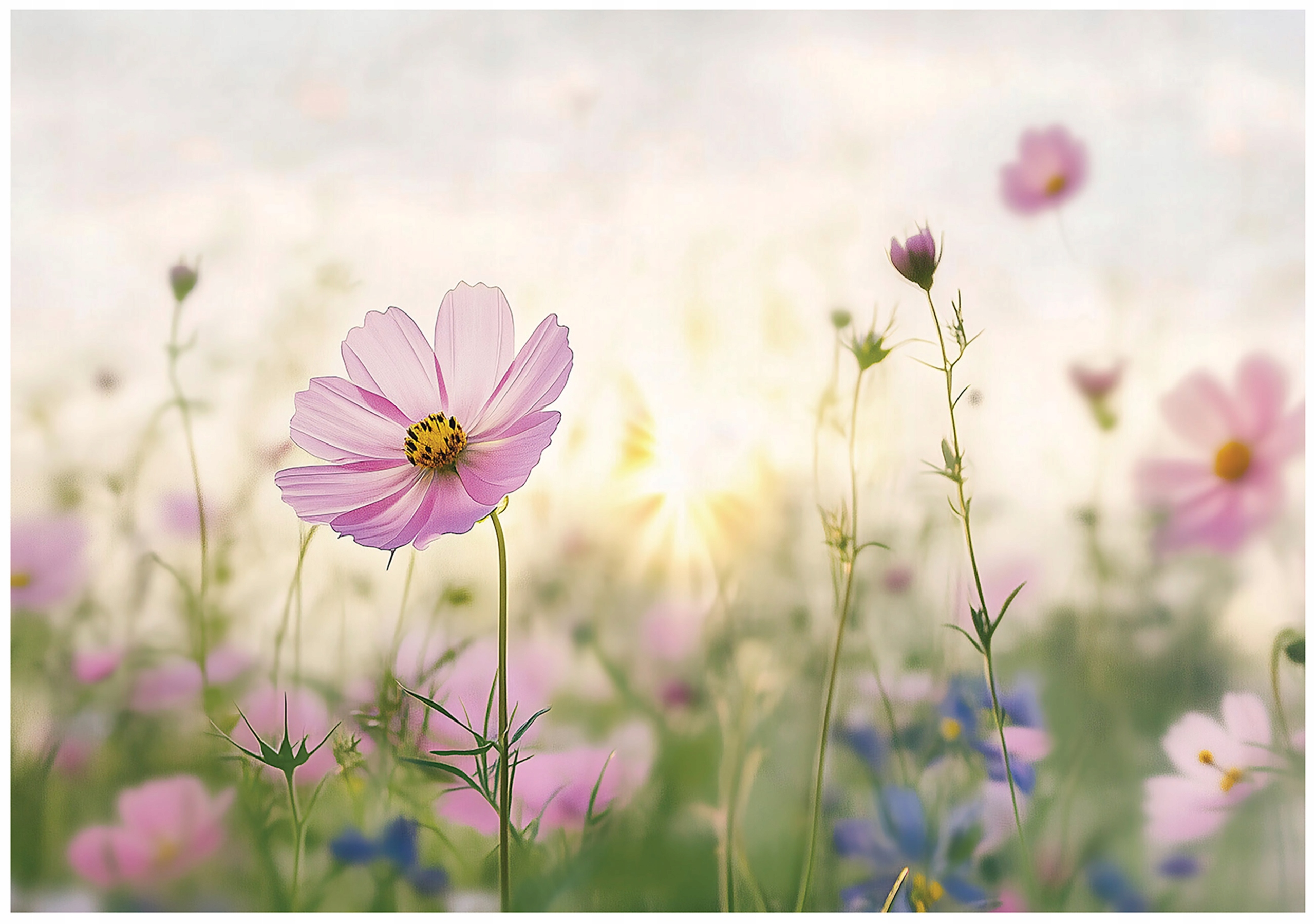 Wall mural wildflowers nature bedroom living room wallpaper non-woven
