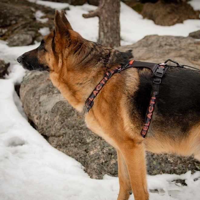 Feel Active Outdoor Hundsele med Lomme, Svart