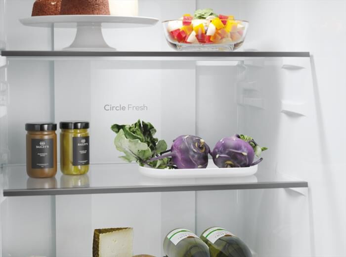 CANDY - Frigorifero combinato CNCQ2T518EX Classe E 279 lt-Acciaio inox