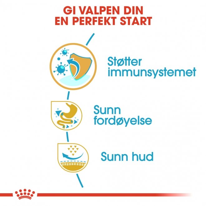 Royal Canin French Bulldog Puppy tørrfôr til hundvalp