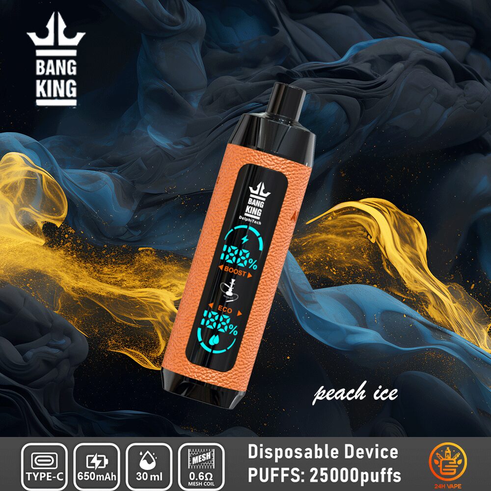 （3 pieces）Bang King Shisha 25000 25K Puffs Newest LED Display Leather Disposable Vape Pen