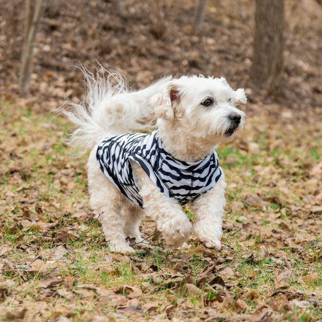 Rukka Zebra Hundetrøye