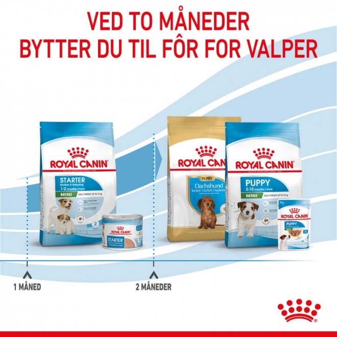 Royal Canin Mini Starter tørrfôr til hund og valp