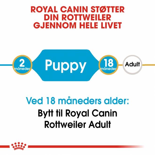Royal Canin Rottweiler Puppy tørrfôr til hundvalp