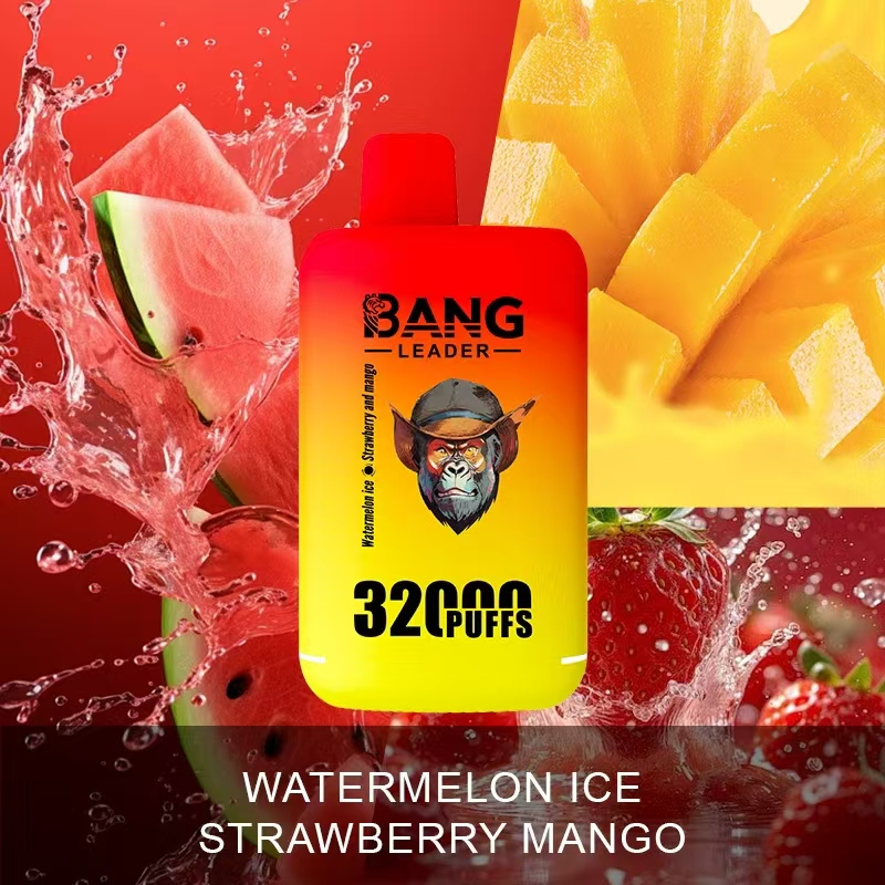 Bang Leader 32000 32k Puffs 2% 3% 5% Nicotine  Double Taste Disposable Vape