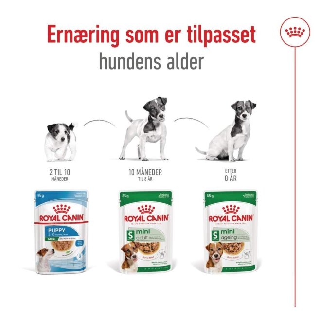 Royal Canin Mini Adult Gravy våtfôr til hund 12x85g