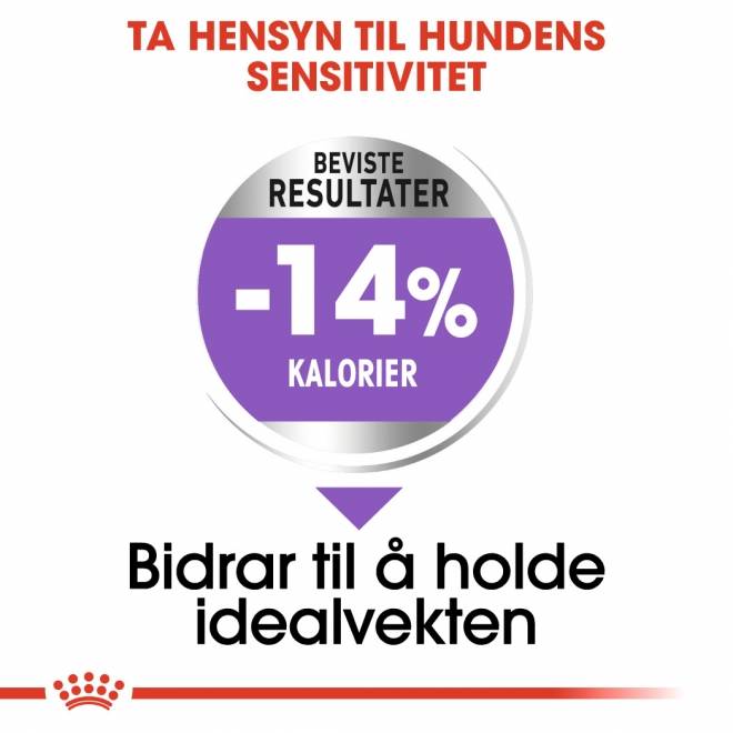 Royal Canin Sterilised Mini Adult tørrfôr til hund