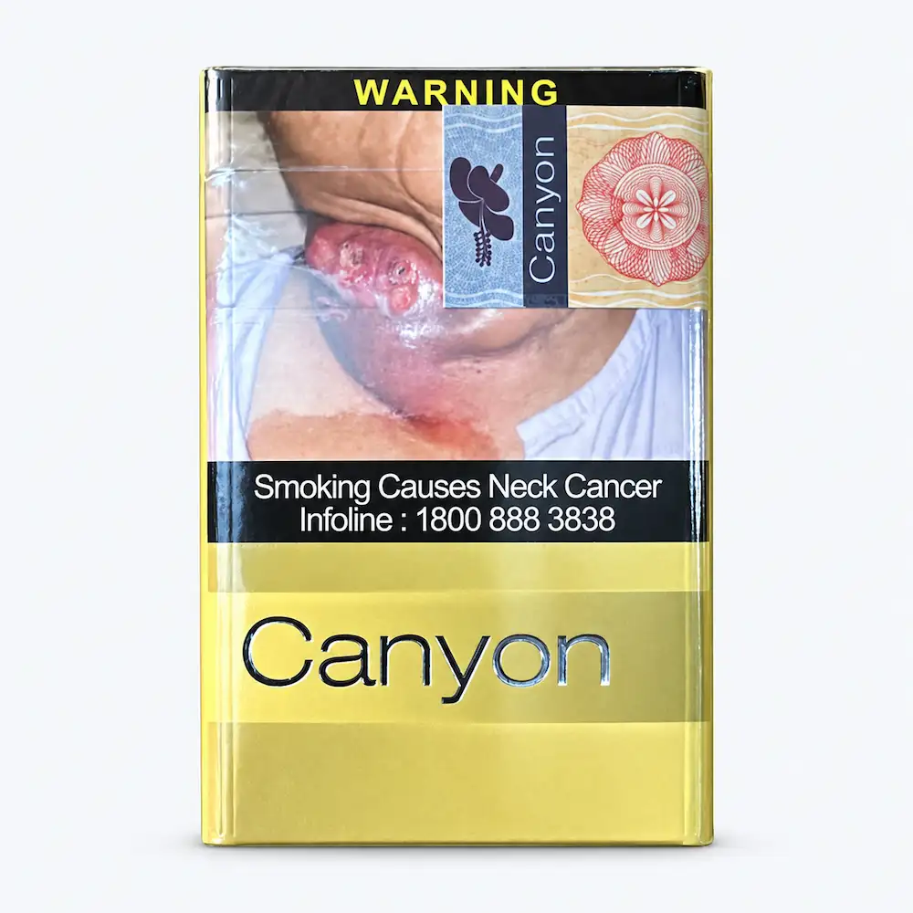 Canyon Light
