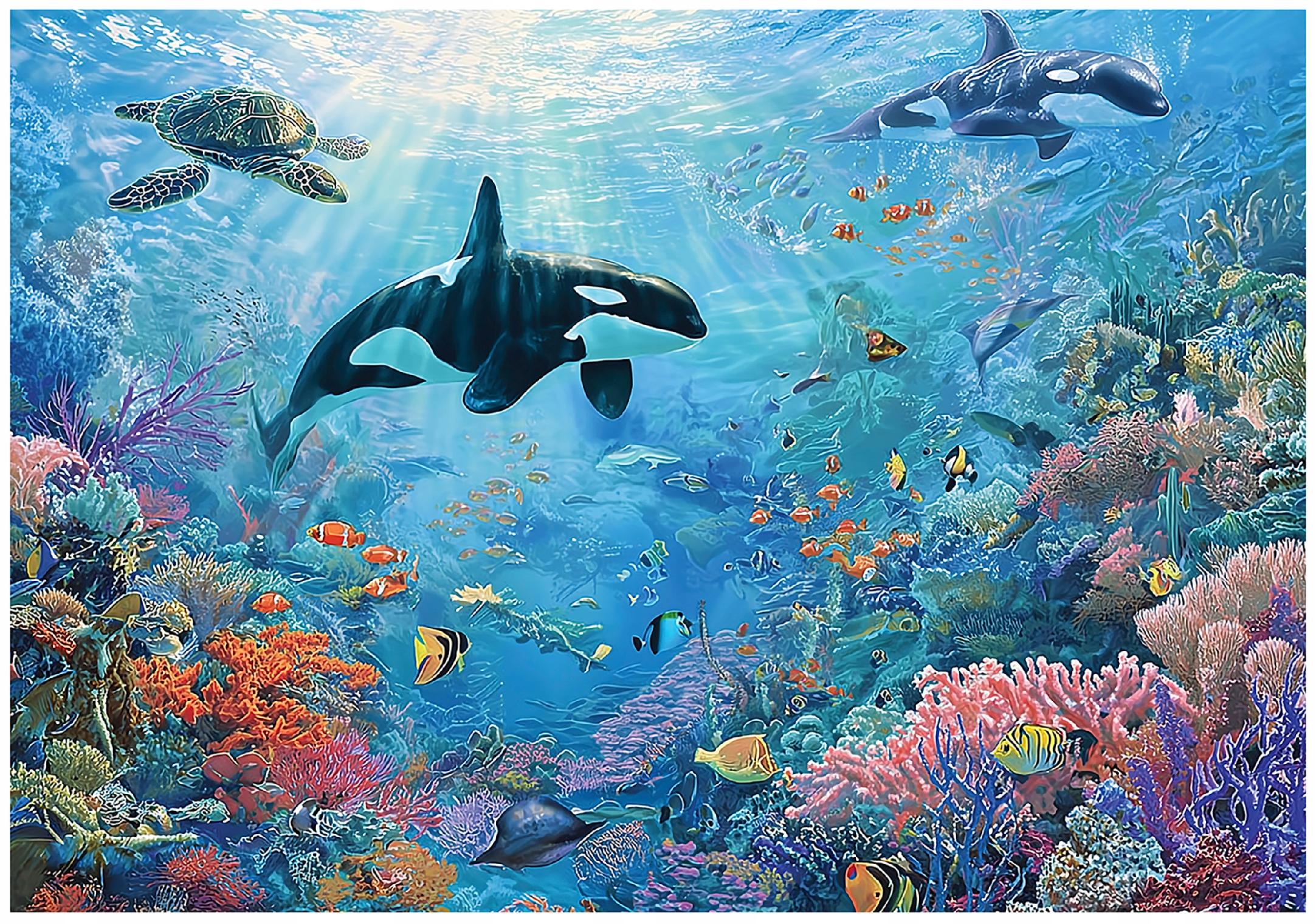 Photo wallpaper for children ocean coral reef turtles children's wallpaper