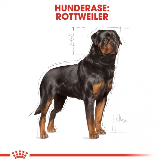 Royal Canin Rottweiler Adult tørrfôr til hund