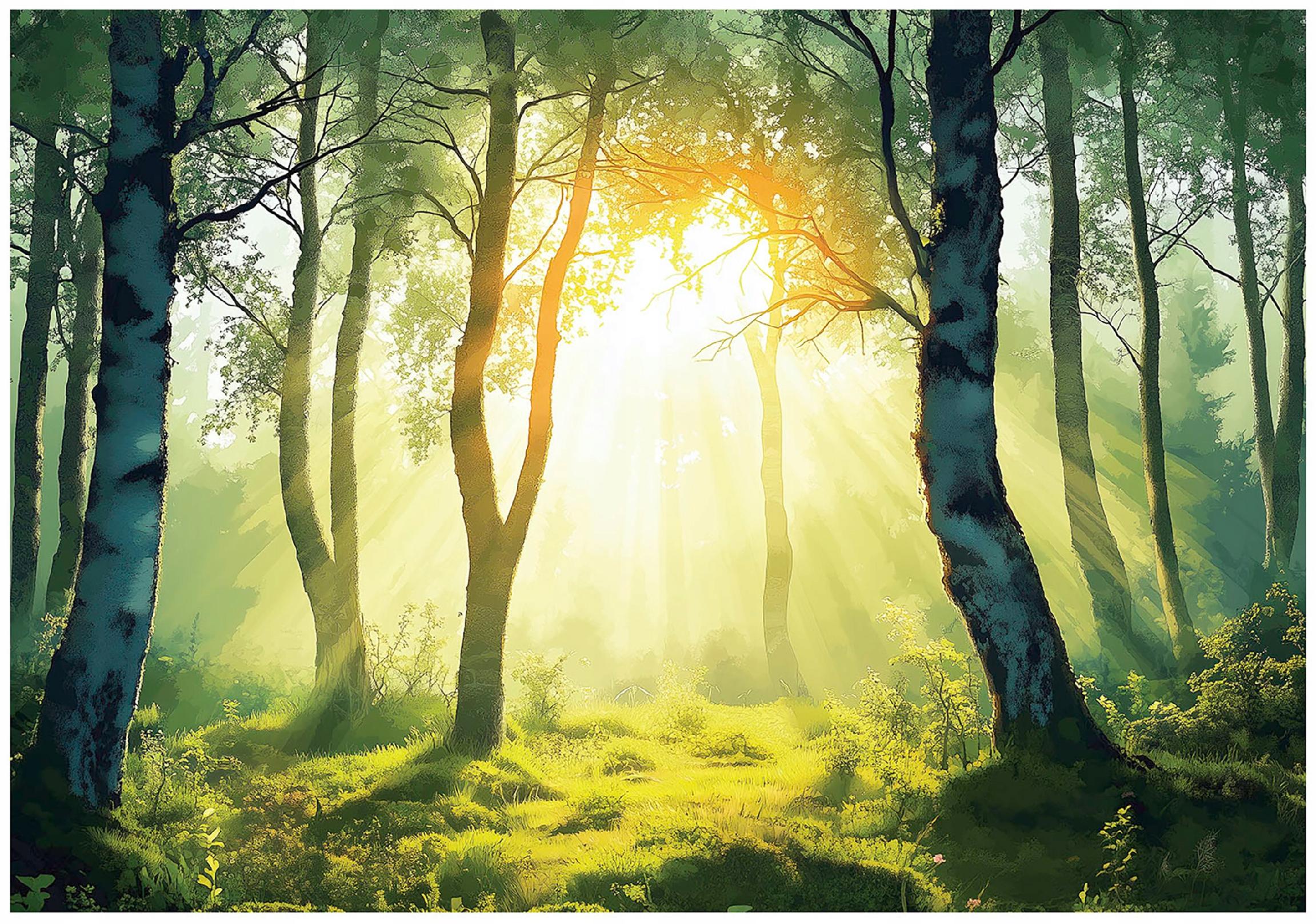 3D forest wall mural with trees and nature, sun, for bedroom or living room,
