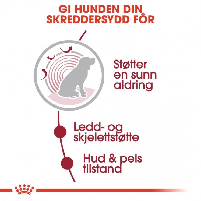 Royal Canin Medium Ageing Gravy våtfôr til hund 10x140 g