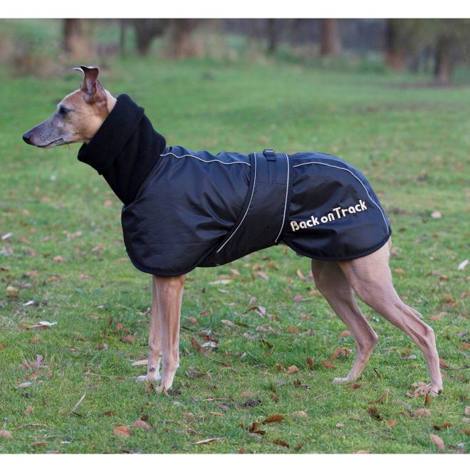 Back on Track Hundedekken Whippet