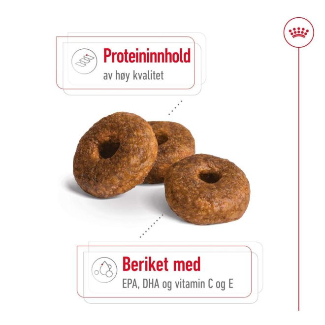 Royal Canin Medium Ageing 10+ tørrfôr til hund