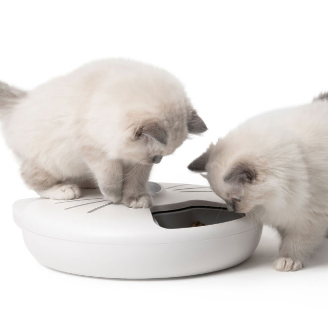 Catit PIXI Smart Fôrautomat 6 måltider