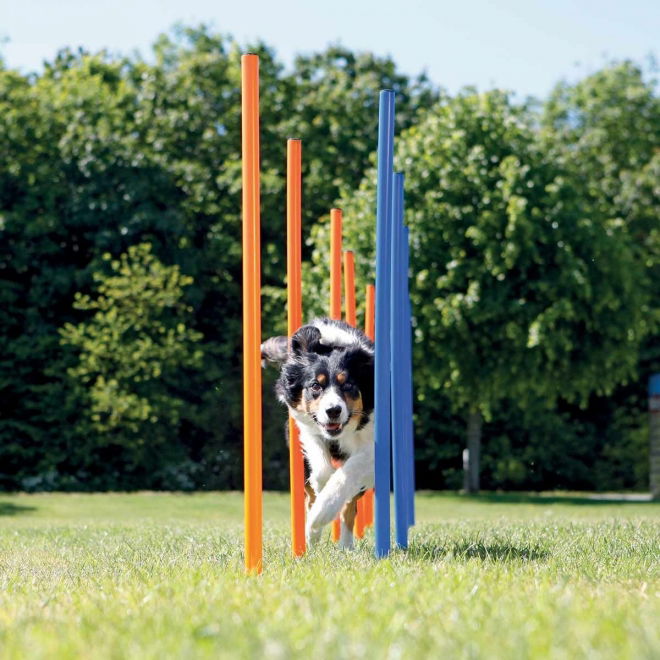 Trixie Agility Slalompinner 12-pk