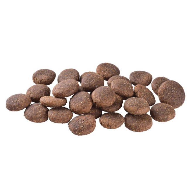 Brit Care Dog Adult Large Breed Grain Free Salmon