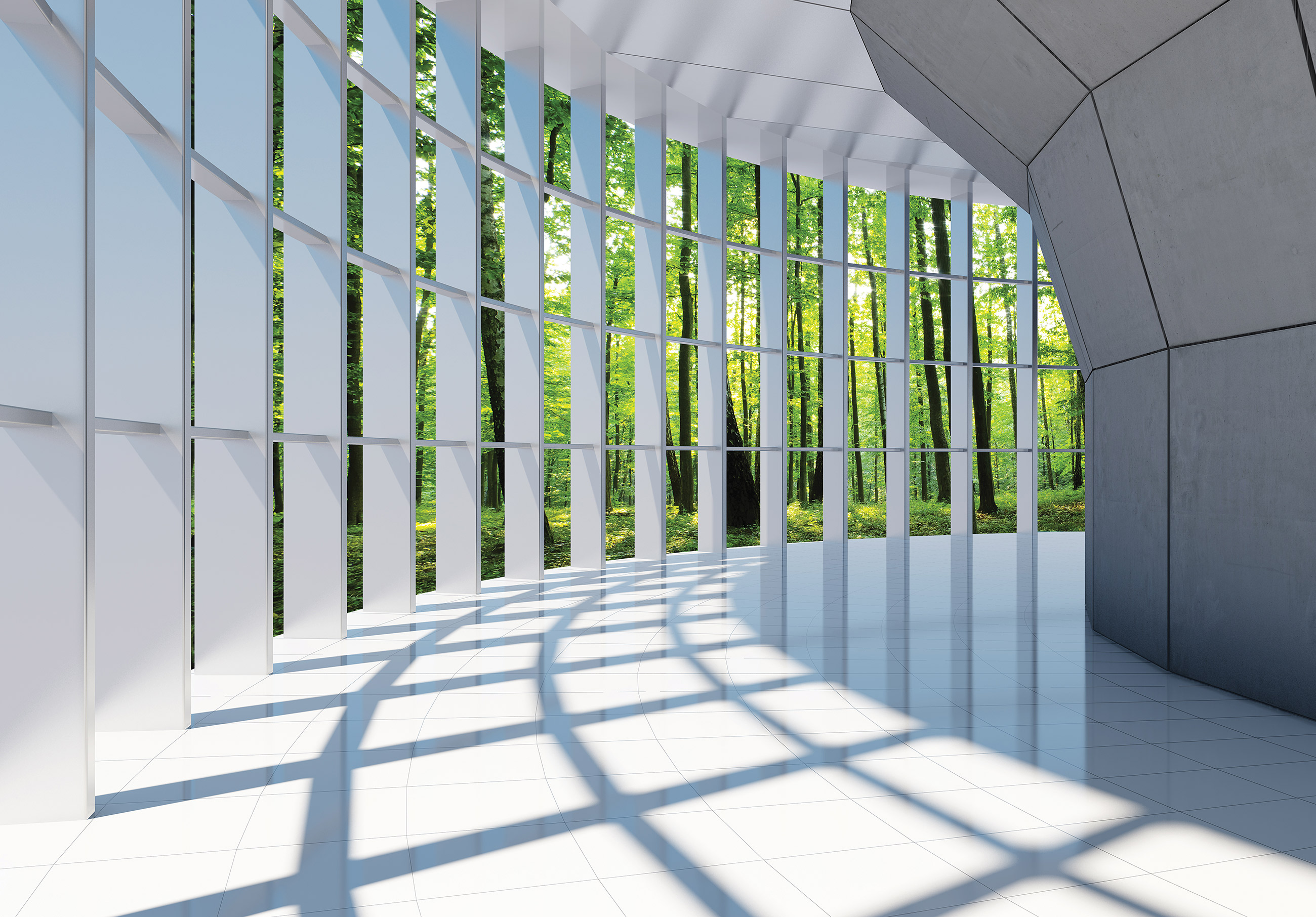 3D wall mural: green forest trees in a summer living room or office