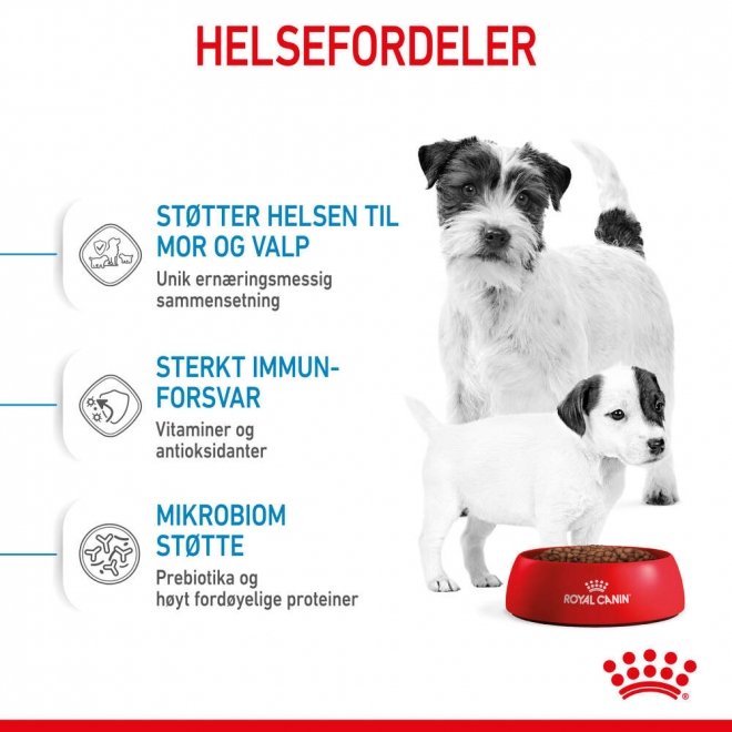 Royal Canin Mini Starter tørrfôr til hund og valp