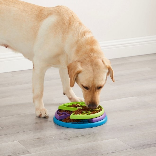 Nina Ottosson Lickin' Layers Slow Feeder Puzzle