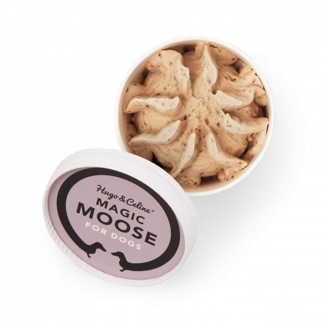 Hugo & Celine Magic Moose