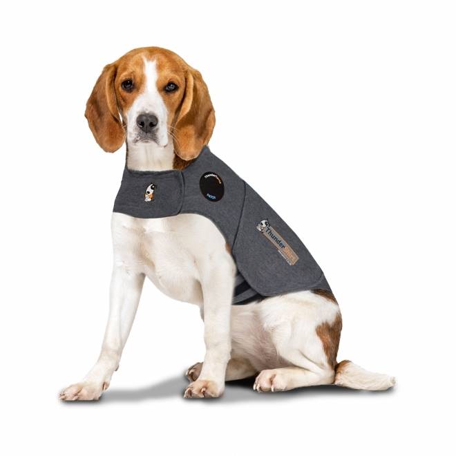 Thundershirt til Hund