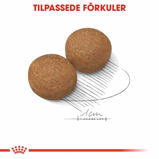 Royal Canin Maxi Adult tørrfôr til hund