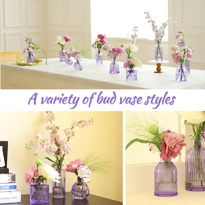 VASEA Glass Bud Vases Set of 12