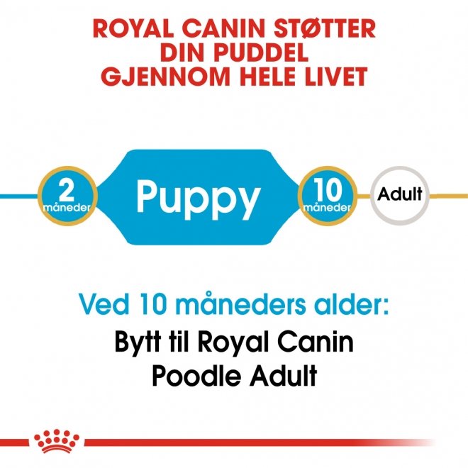 Royal Canin Poodle Puppy tørrfôr til hundvalp
