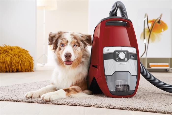 MIELE - Aspirapolvere a traino CX1 CAT&DOG POW-Rosso mango