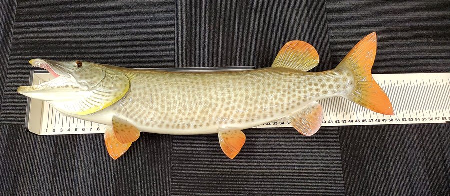 RECK-N-RACK MUSKY BUMP BOARD W/ ST. CROIX LOGO