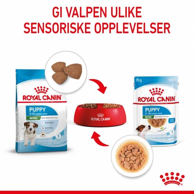 Royal Canin Mini Puppy våtfôr til valp 12x85g