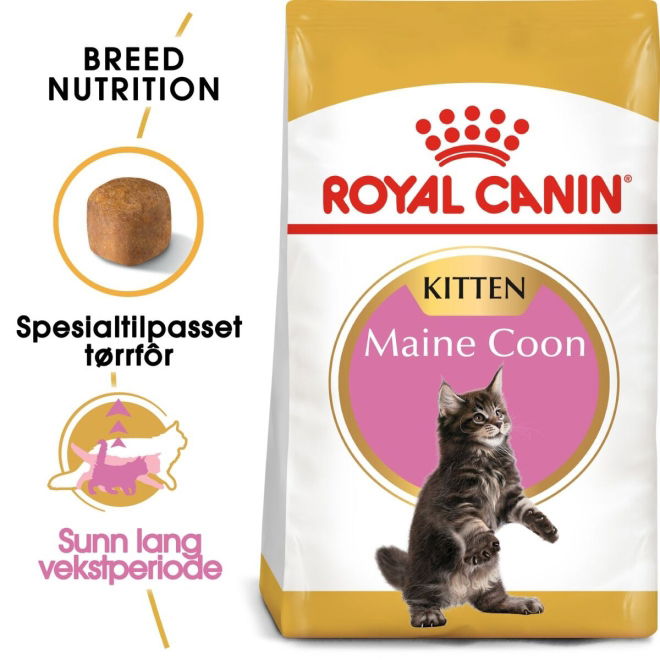 Royal Canin Maine Coon Kitten tørrfôr til kattunge