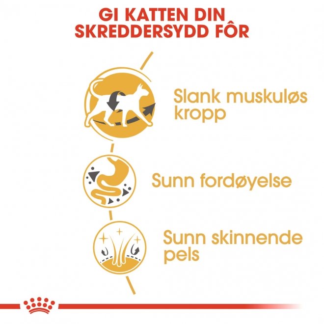 Royal Canin Siamese Adult tørrfôr til katt