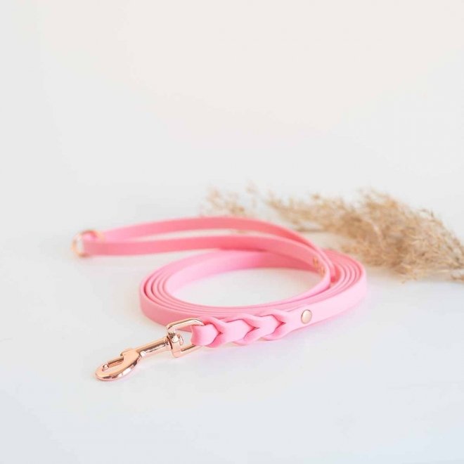 Tyylivoitto Braid Kobbel, Rosa