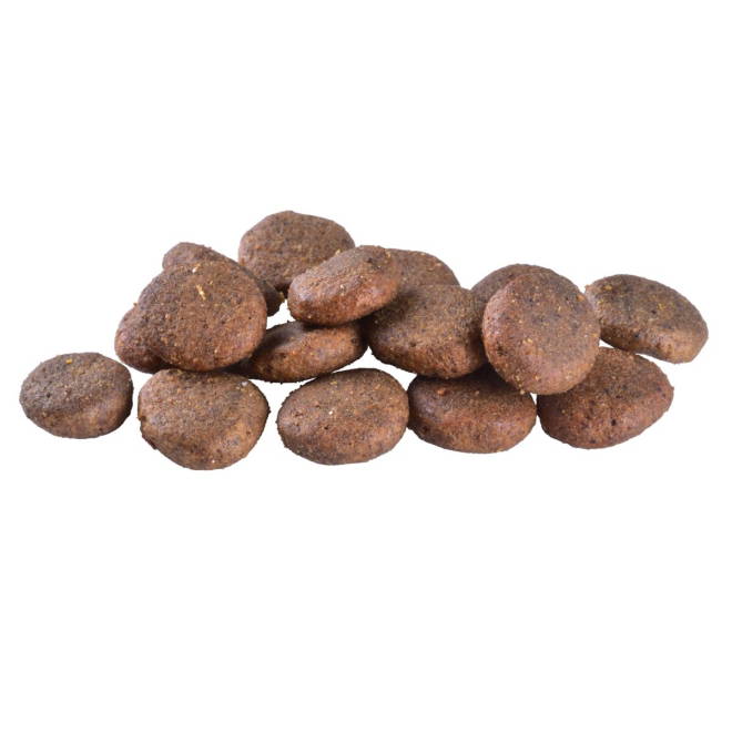 Brit Care Dog Senior & Light Grain Free Salmon
