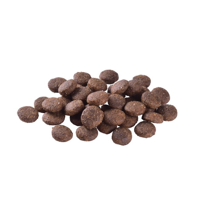 Brit Care Dog  Junior Large Breed Grain free Salmon