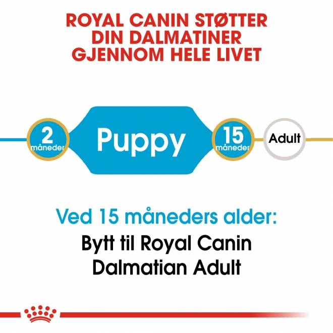 Royal Canin Dalmatian Puppy tørrfôr til hundvalp