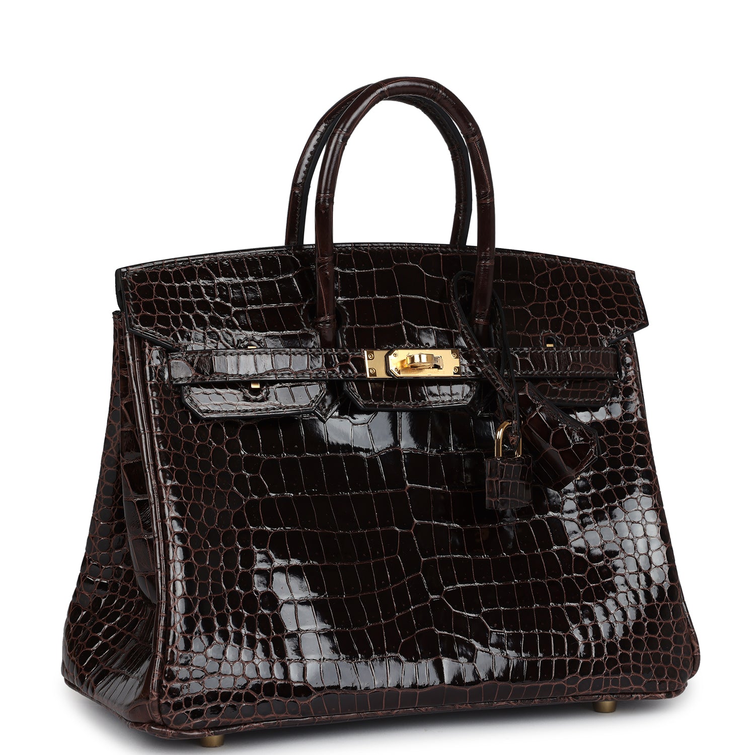 Birkin 25 Macassar Shiny Porosus Crocodile Gold Hardware