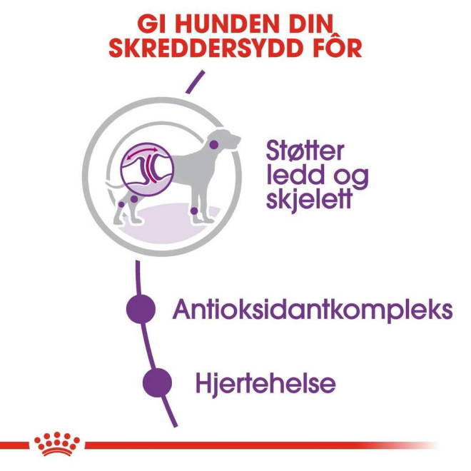 Royal Canin Giant Adult tørrfôr til hund