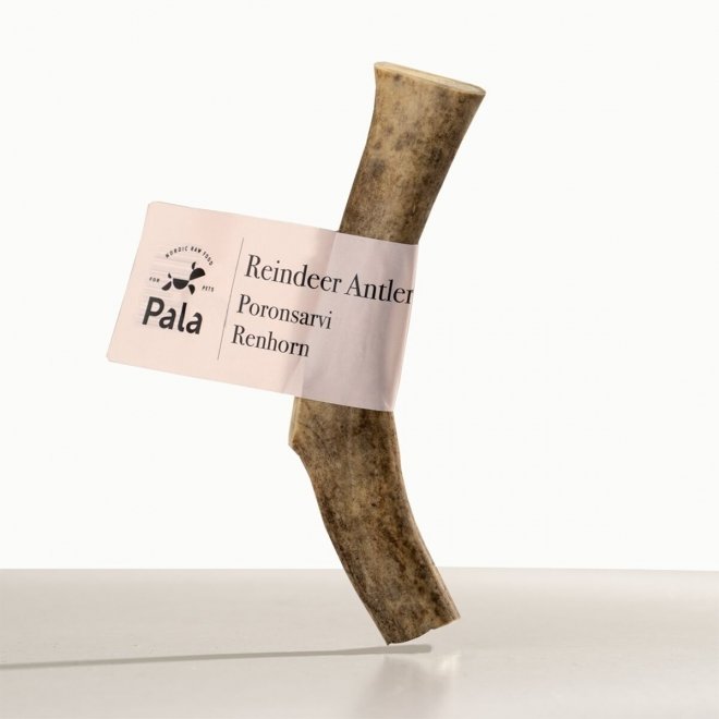 Pala Reindeer Horn