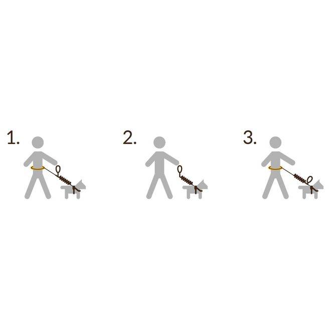 Pro Dog Handsfree sett inneh. belte+kobbel