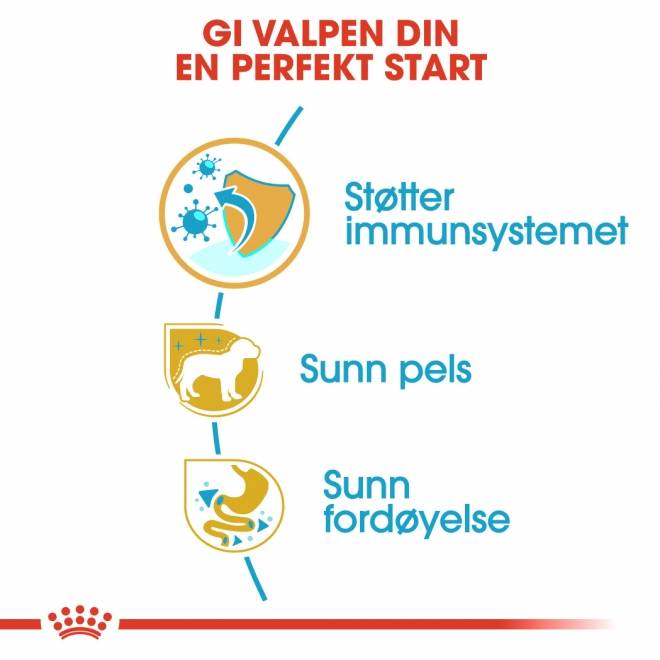 Royal Canin Yorkshire Terrier Puppy tørrfôr til hundvalp