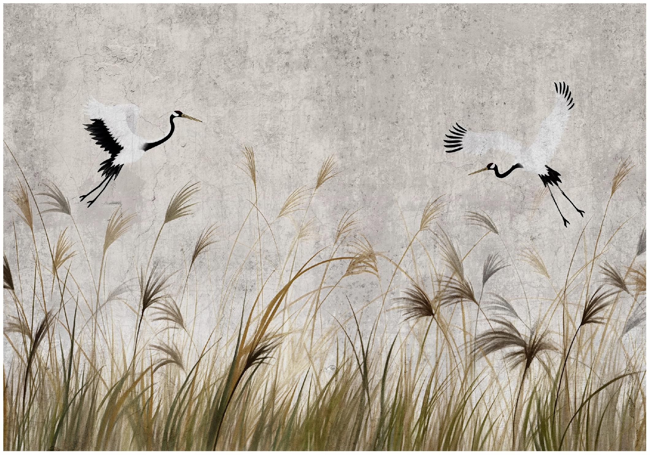 Wall mural with cranes, birds, and pampas grass for the bedroom or living room, wallpaper